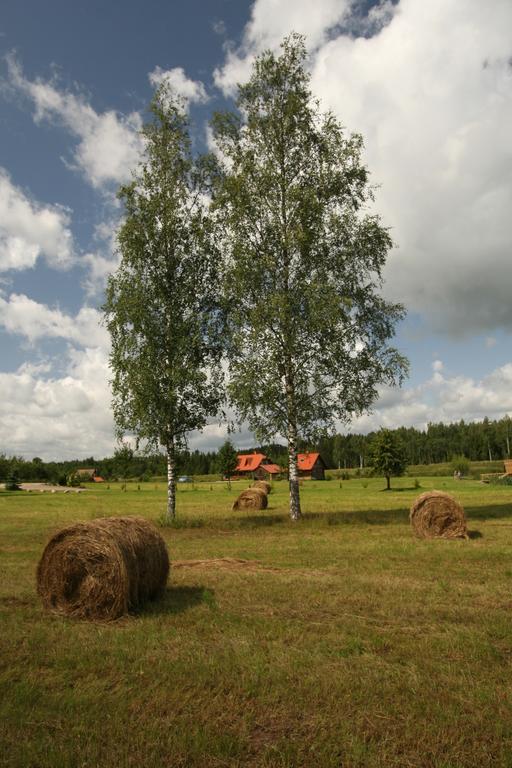 Viesu Nams Rukisi Hotell Rugaji Exteriör bild